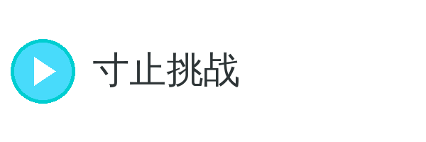 寸止挑战 品牌Logo